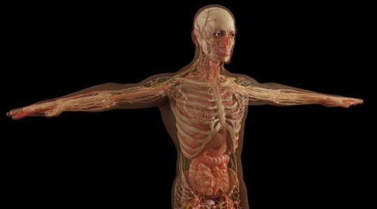 10 Fatti Strani sul Corpo Umano: Scopri le Meraviglie Nascoste della Biologia Umana