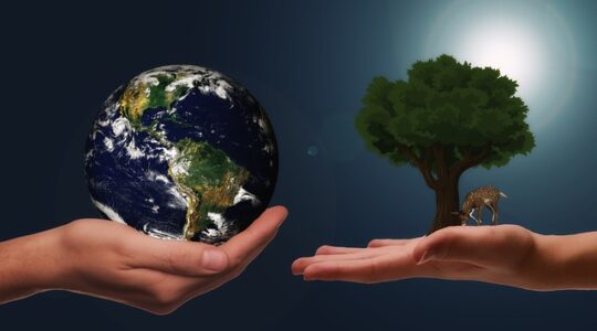 Sostenibilità nella vita quotidiana: guida pratica per un impatto positivo
