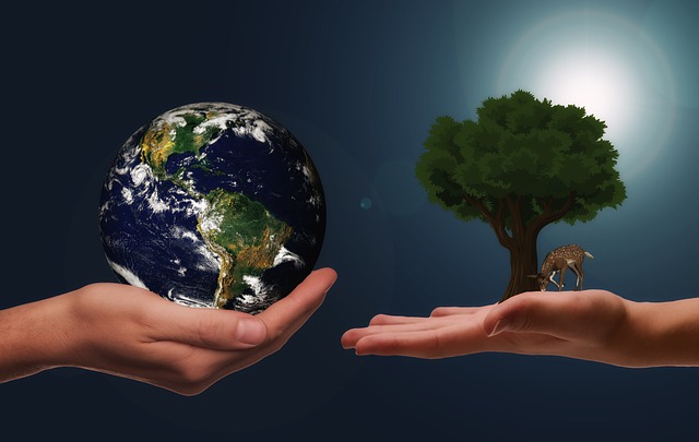Sostenibilità nella vita quotidiana: guida pratica per un impatto positivo
