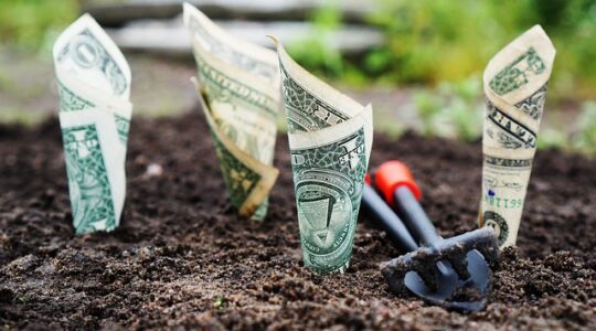 Investimenti sicuri per principianti: guida completa per iniziare