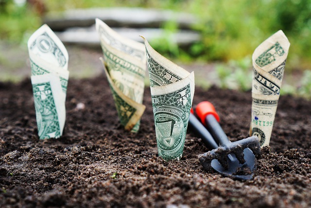 Investimenti sicuri per principianti: guida completa per iniziare