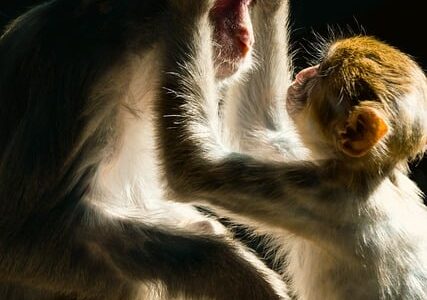 Fatti insoliti sulla natura: 14 curiosità sorprendenti sul mondo animale