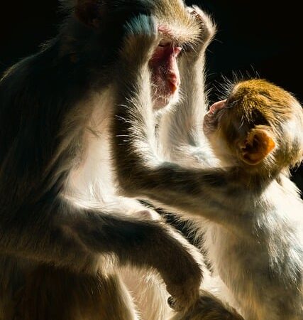 Fatti insoliti sulla natura: 14 curiosità sorprendenti sul mondo animale Fatti insoliti sulla natura: 14 curiosità sorprendenti sul mondo animale