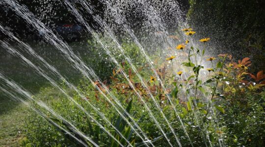 Come progettare un sistema di irrigazione per giardino efficiente e duraturo